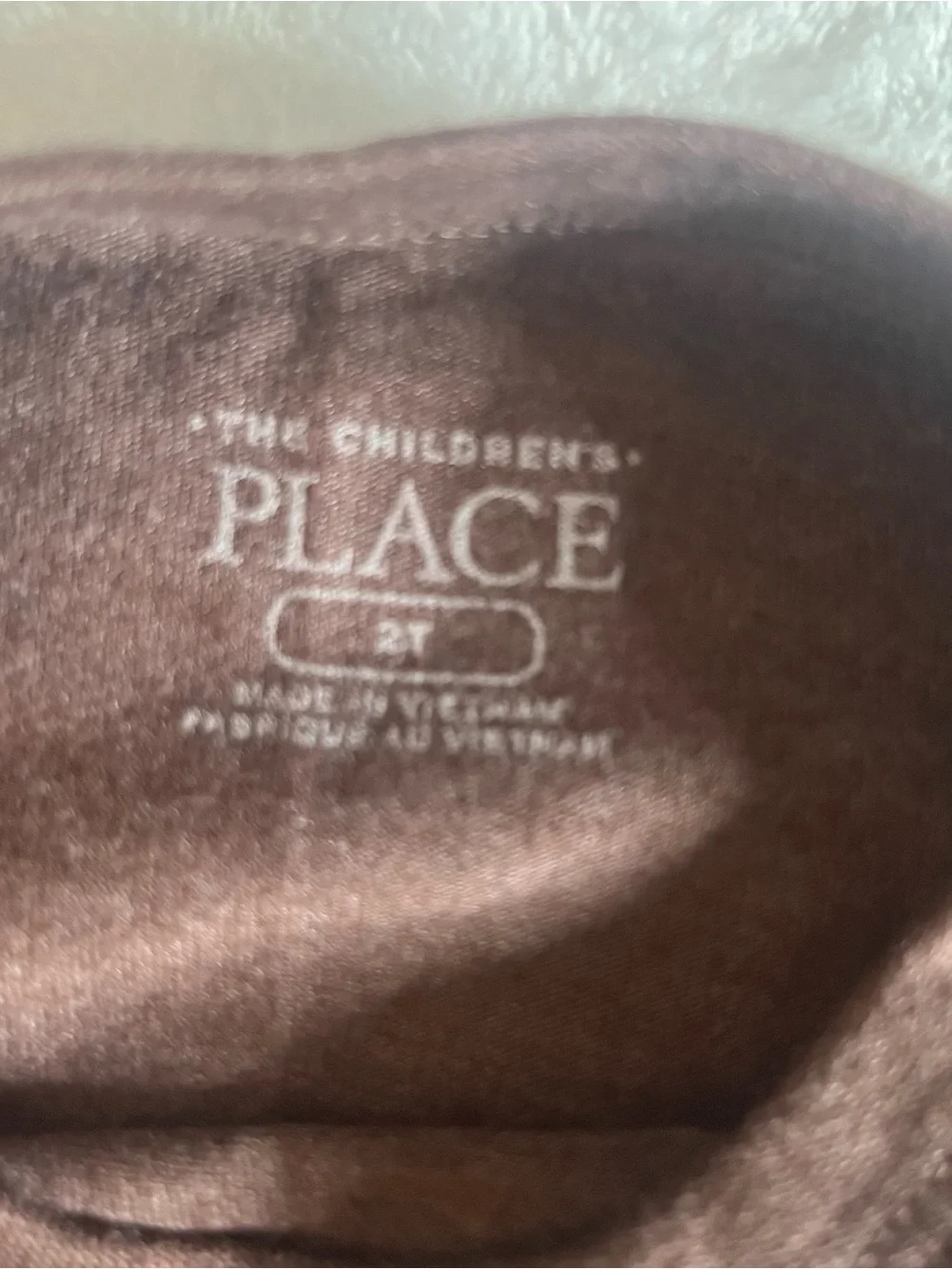 The Children's Place Crewneck  Graphic Long-Sleeve Tees Blue Brown Sz 2T